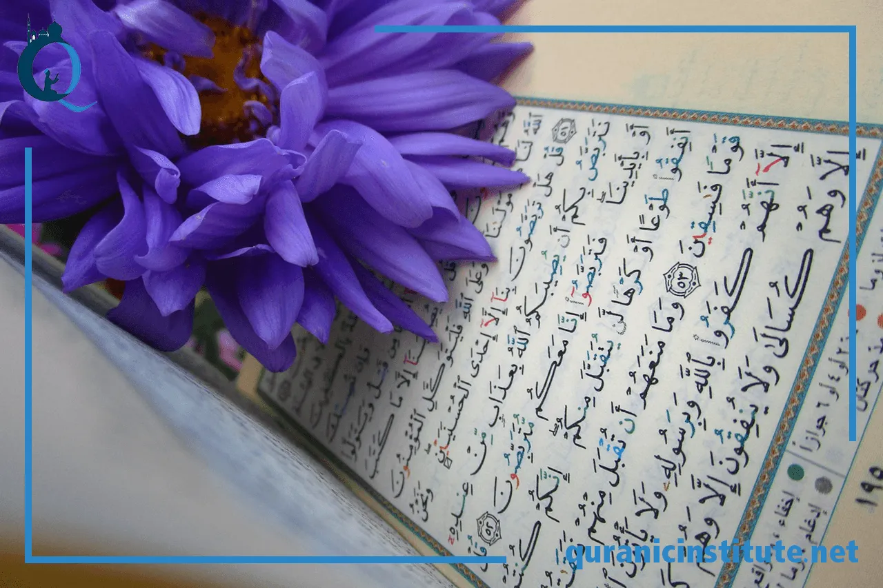 quran tajweed teacher